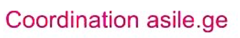 logo coordination asile.ge