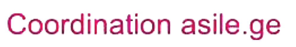 coordination asile ge